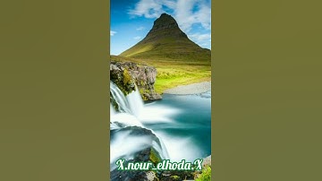 سورة الكوثر عبد الرحمن مسعد 🌼