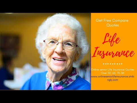 Life Insurance Quotes Online For Seniors | Life Insurance Blog