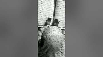 سورة طه- الآيات(1-6)