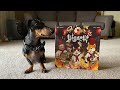 Hibachi - Livestream Spiel Digital 2020