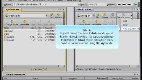 WS_FTP Transferring files By Host4Go Tutorials
