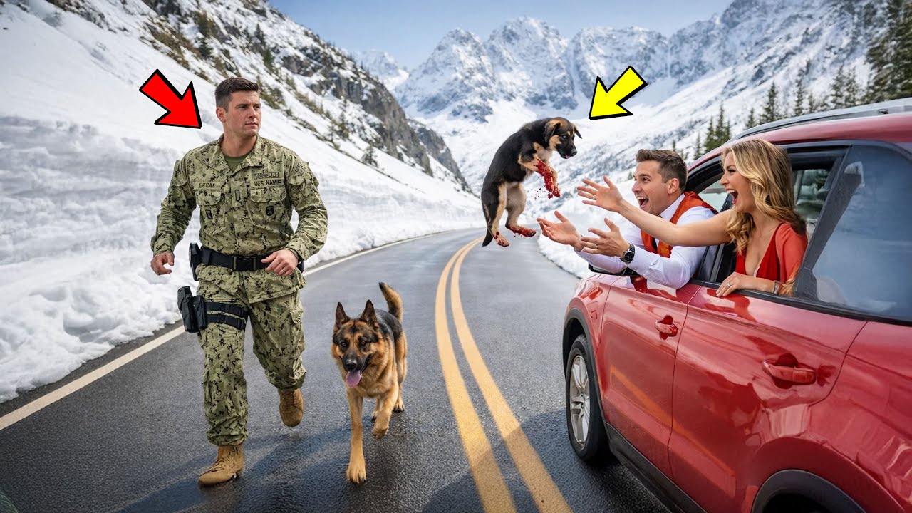 Welpe im Frost ausgesetzt – Navy SEAL & K9 enthüllen eine Wahrheit, die alles sofort verändert.