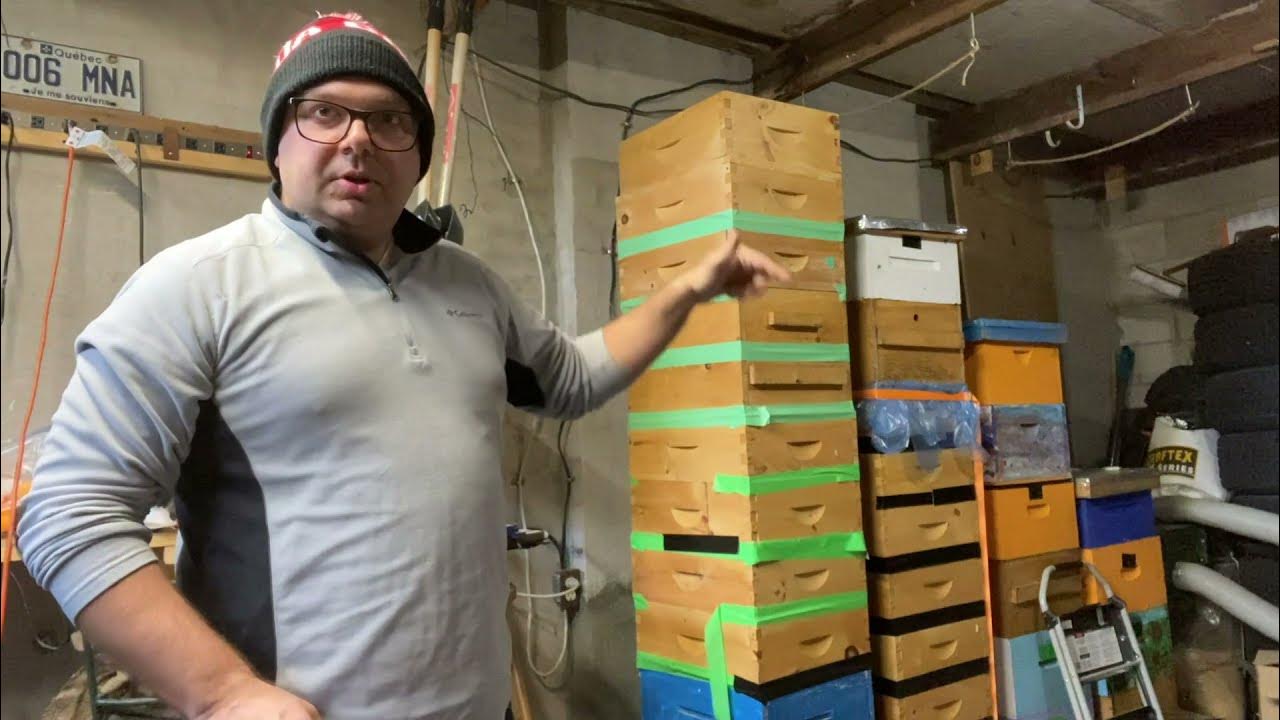 How to store drawn honey supers 🐝 through winter ️ YouTube