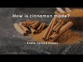 Understanding Cinnamon and Its Origins