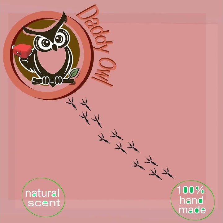 copy B2B096A8 12AB 4A40 997B DD50D5D4F67F 2