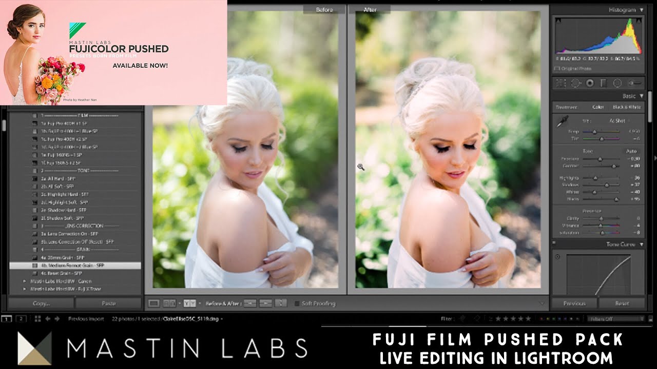 mastin labs lightroom presets