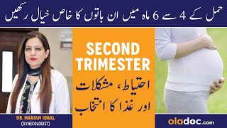 2nd Trimester Pregnancy In Urdu- Hamal Ke 4 Se 6 Months- Second Trimester Of Pregnancy Tips In Hindi