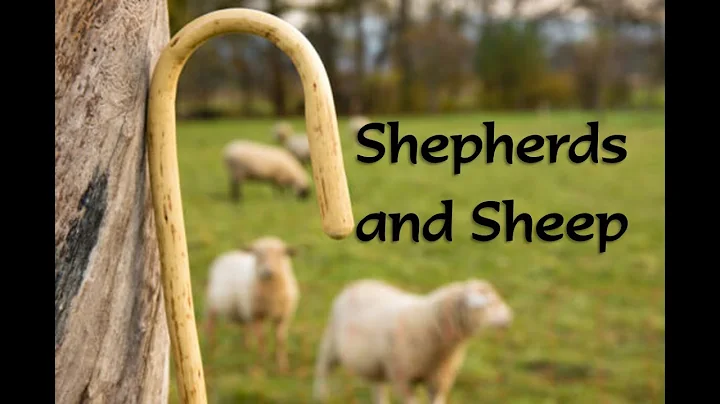 Shepeherds and Sheep Part 1: Elders Feed God's Wor...