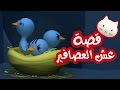 Musti | موستي بالعربي | قصة عش العصافير