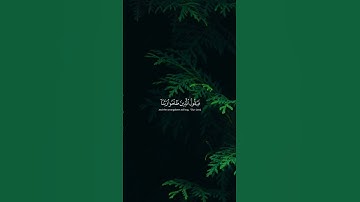 سورة إبراهيم #سورة #إبراهيم #القرآن #المصحف #فلسطين #حرة #اكسبلور  #القارئ  #الشيخ