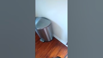 QUALIAZERO 50L 13Gal Heavy Duty Hands Free Stainless Steel Commercial