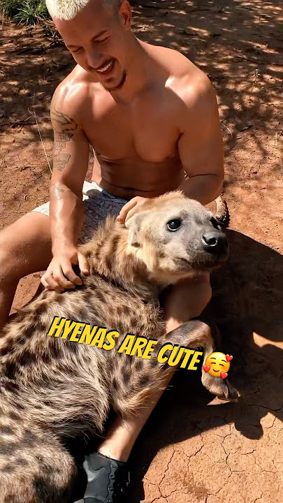 Download lagu HYENAS ARE MISUNDERSTOOD 🐾❤️