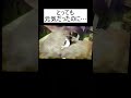 【妖怪ウォッチ2】元気に自己発電してたのに…#shorts