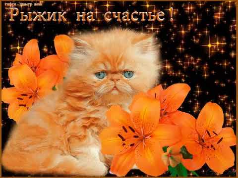 18 летний рыжик на день рождения познал что такое оргазм 18 летний рыжик на день рождения познал что такое оргазм