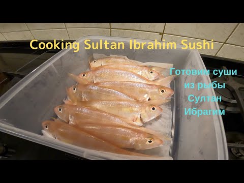Видео: Что такое рыба султан ибрагим?