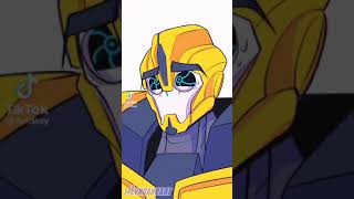 Transformer (tik tok)