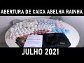 Abertura de Caixa Abelha Rainha - Julho 2021 - Adriana Luna