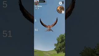 Eagle Hunting Journey screenshot 2