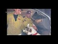 California firefighters rescue a dog in Redding