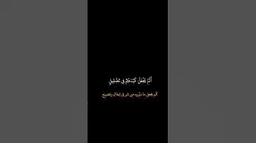 قران كريم للشيخ محمد صديق المنشاوي.سورة الفيل #قرآن #اكسبلور #كرومات #دويتو #قران #لايك #متابعين