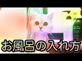 風呂好きの猫！お風呂の入れ方をご紹介します♡