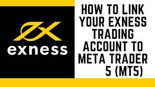 How to Link Your Exness Account to MetaTrader 5 (MT5)