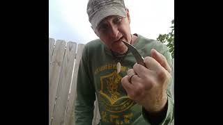 petrified fish PF 107 Viking Knife and Microtech Bee clone!