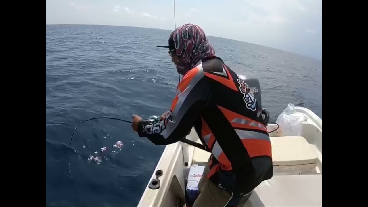Ripple Fisher OceanArrow Snapper 66ml - YouTube