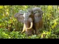 Jungle Cruise Ride with the Funniest Skipper | Disneyland, CA