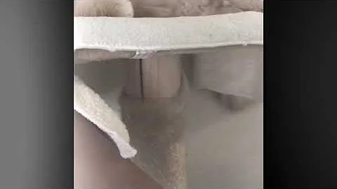 Tangie Wolfe