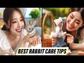 Comprehensive Rabbit Care Tips for a Happy and Healthy Bunny