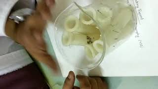 Lab activity 07 Lab activity 07