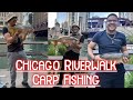 Carp Fishing the Chicago River Walk