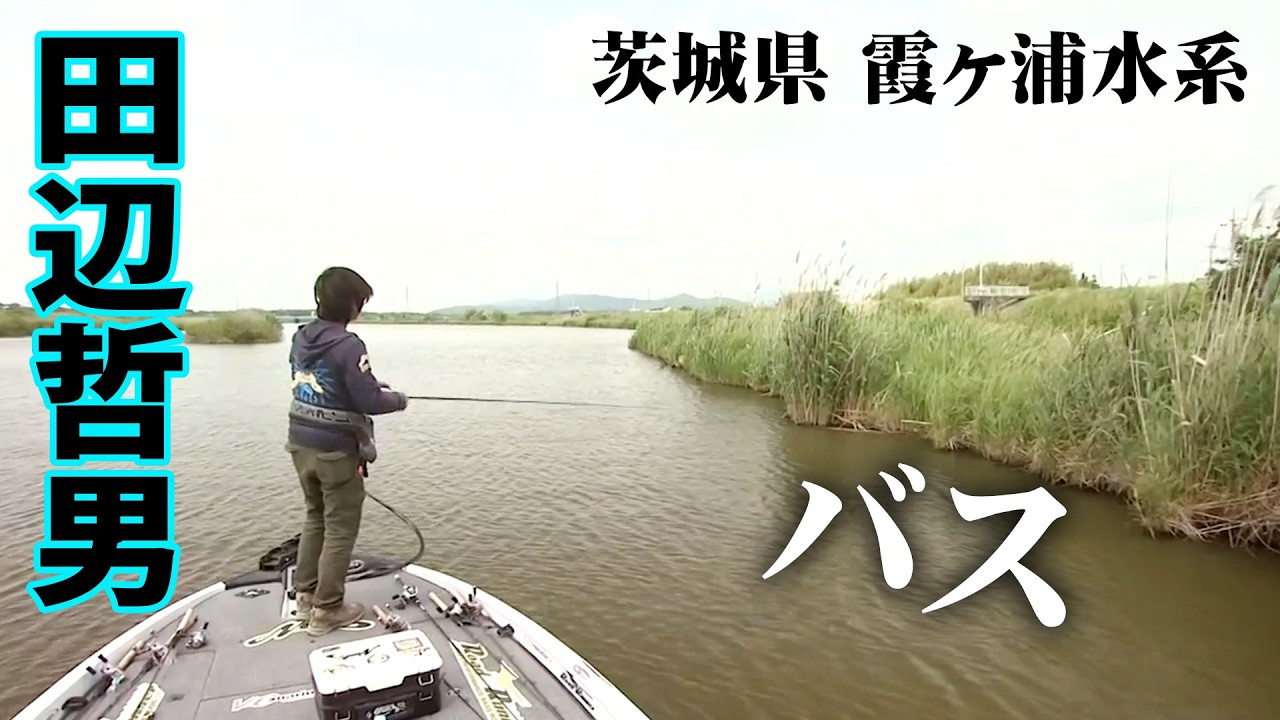 Tetsuo Tanabe tackles the Kasumigaura water system in late May