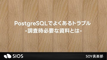 【SOY倶楽部勉強会】PostgreSQLでよくあるトラブル -調査時必要な資料とは-