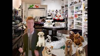 Rick Astley wants a pet