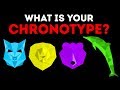 A Quick Test Will Show Your Sleep Chronotype