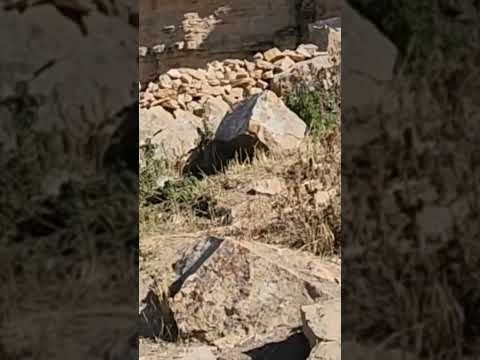 داخلی غار وچشمه خیلی قورباغه است برای دیدن ویدیو های جالب چنل یوتیوب مارو دنبال کنید