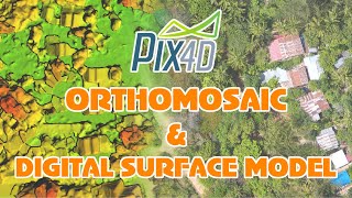 CREATE Orthophoto Mosaic and DSM with Pix4D Mapper