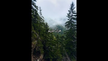 وَجَاءَتْ سَكْرَةُ الْمَوْتِ بِالْحَقِّ ۖ ذَٰلِكَ مَا كُنتَ مِنْهُ تَحِيدُ (19)سورة ق /إسلام صبحي