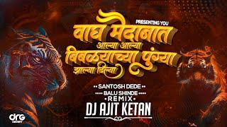 वाघ मैदानात आल्या REMIX | WAGH MAIDANAT ALYA BIBLYACHYA PUNGYA JHALYA DHILYA MARATHI DJ AJIT KETAN