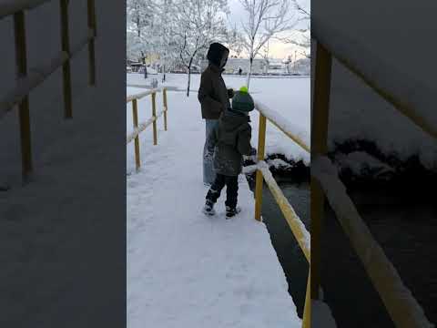 Переезд на Север