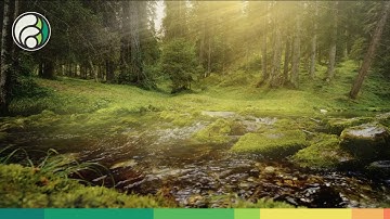 How digital age transformations can accelerate climate action