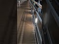 Walking Above the Moving City