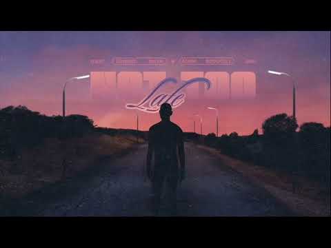 Edward Maya & Adem Bogoceli - Not Too Late