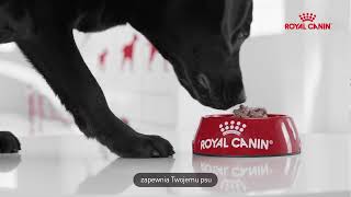 ROYAL CANIN®  - karma opracowana z myślą o wspieraniu zdrowego wzrostu Twojego szczenięcia