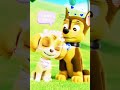 Chase and Skye love moment edit