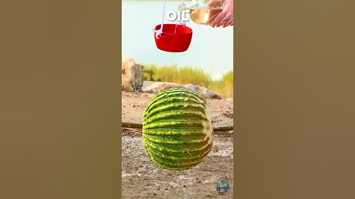She Transformed Wild Cactus Into A Delicious Meal! 🌵