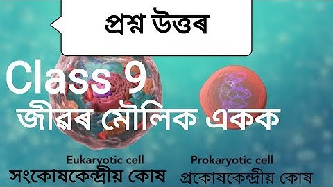 #Cell #Class 9 Science ॥ জীৱৰ মৌলিক একক॥ প্ৰশ্ন উত্তৰ॥ #SEBA