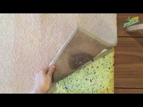 How to get pet urine smell out of carpet? | inhouse Carpet